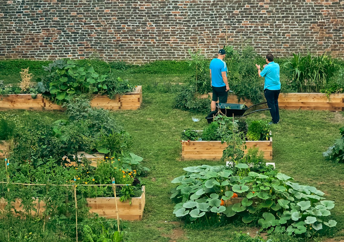 Letná rozkvitnutá malá záhrada s kvetinami a zeleninou v plnom rozmahu