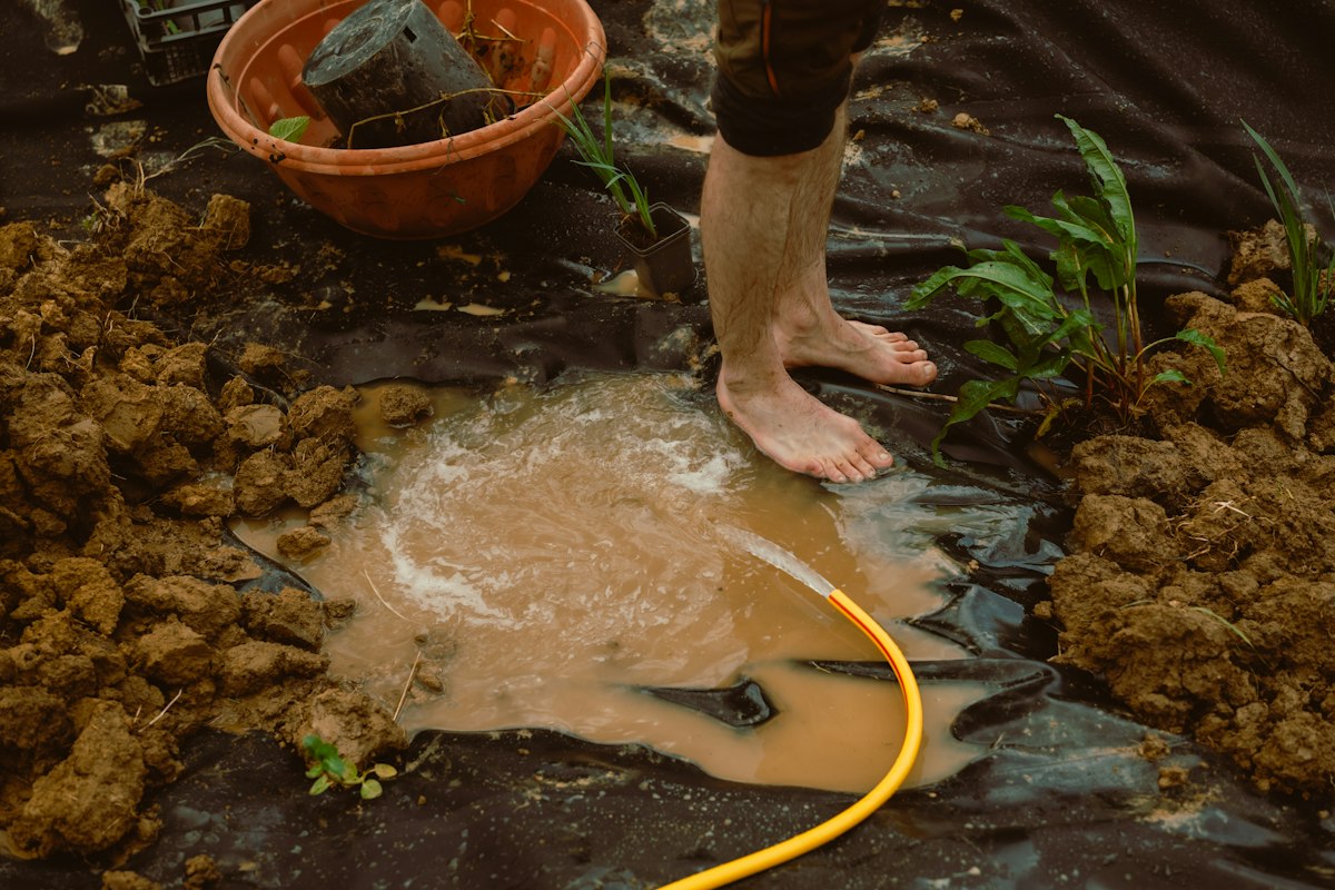 Kompostovanie a zlepšovanie pôdy